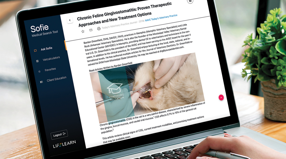 Sofie Veterinary Medical Search Tool | Patterson Vet